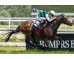  Carrera: P.Premier Galop Monta: R.Sousa Caballo: Rojiblanco